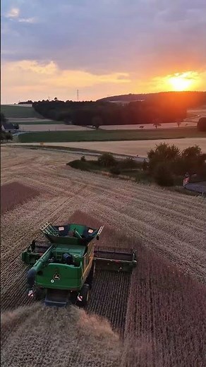 Front-row seats to harvest season. 📷: Benedikt A.