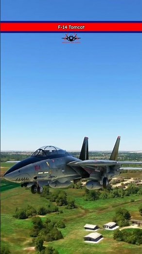 F-14 Tomcat Gear Down | Get Set for a Thrilling Touchdown!