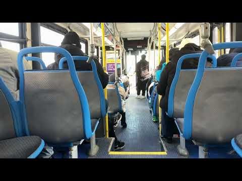 CTA On Board Riding 2008 New Flyer D40LF Bus 1663 on Route 76 Diversey to Nature Museum