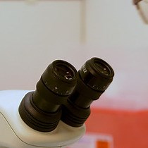 Video: Un modello di lesione in vivo di Drosophila per lo studio della neurorigenerazione nel sistema nervoso periferico e centrale