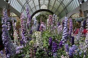 How to Make a Greenhouse More Humid | Homesteady