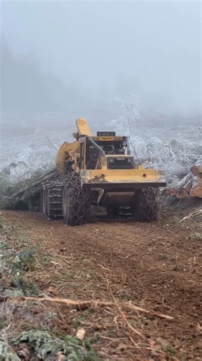 AGRO FAILS & BEAUTY on Instagram: "🟣 Beast from the forest 🚜 #agro_fails_and_beauty #tractor #forest #sweden #lithuania"