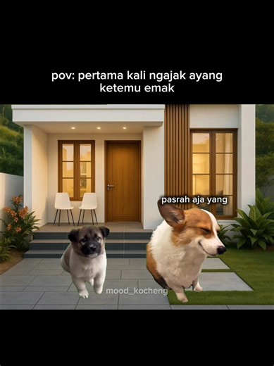 #memekucing #moodkocheng