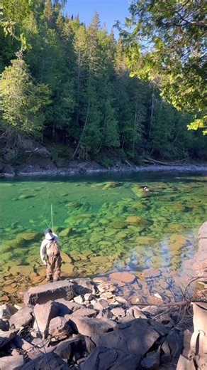 Full Gaspé fishing report podcast out now! #fishing #flyfishing #podcast