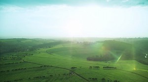 434K views · 6.2K reactions | Sunshine makes everything better, including our deliciously refreshing Lipton Ice Tea #SunshineMakesEverythingBetter #LiptonIceTea #DeliciouslyRefreshing | Lipton Ice Tea | Facebook