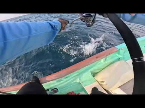 🎣 Si vienes a Puerto Vallarta y te gusta la pesca, este video es para ti