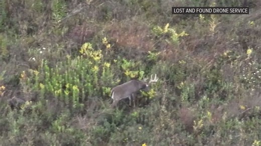 Drone service helps Ohio hunters track deer, find missing pets