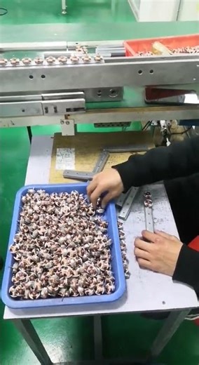 📹 No Actors, No Script: Genuine Pincheng Production Line in Action!