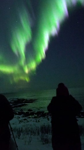 7.4K views · 120 reactions | Great Northern Lights in Vesterålen, caught by Jens Birkeland / Vesterålen Tours | Visit Northern Norway | Facebook