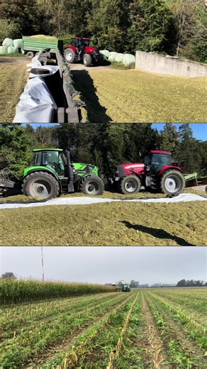 Mais President: A Guide to Silage Preparation