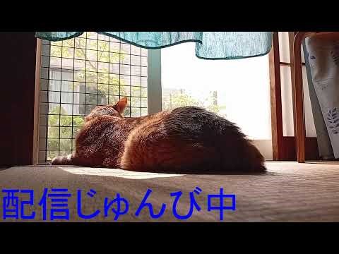 【Watch_Dogs 2】本編クリア後DLCなどなど【steam】Part13