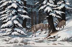 598K views · 4.9K reactions | It's the season when we tell children the tales of Santa and his flying reindeer. But this year why not tell the story of the sacred "Deer Mother" of old? Taking flight from the darkest longest night of the year, it was she who brought the life-giving light of the sun back to the land, in her horns. ~ Danielle | Gather | Facebook