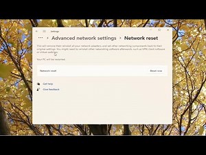 FIX Windows Could Not Find A Driver For Your Network Adapter In Windows 11