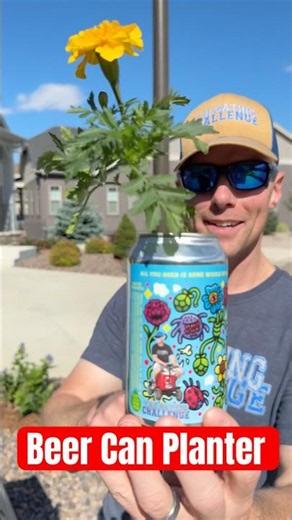 Genius Beer Can Planter Hack You Need To Try 🍺🪴 #diy #lifehacks #planting