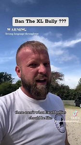 278K views · 13K reactions | Ban the XL Bully??? | Southend Dog Training | Facebook