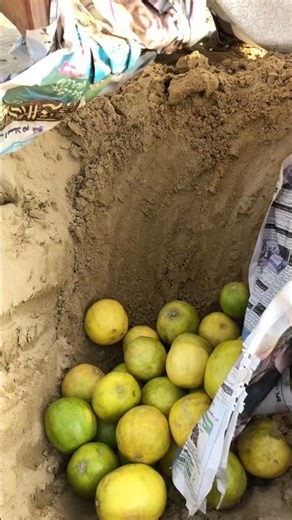 “Hiding My Favorite Fruit in the Desert 🌵 | Survival Hack”