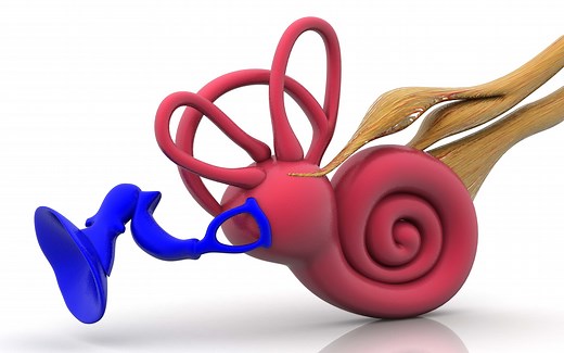Benign Paroxysmal Positional Vertigo Treatment (BBPV)