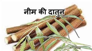 Neem Ki Datun ke Fayde | नीम की दातुन करने से मिलते हैं 5 फायदे