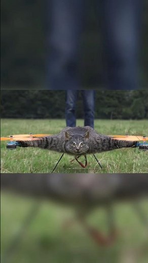 "This Cat Drone Is Real And It's Shocking😳"