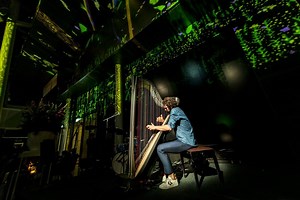 32K views · 1.6K reactions | David Hockney's 'Arrival of Spring' LIVE at Amsterdam's Museumplein. The music of harpist Remy van Kesteren and light art of Blauwe Uur will turn a cool winter evening into a vibrant spring day. More info: Arrival of Spring LIVE | Ode aan David Hockneys lente and www.vangoghmuseum.nl/arrivalofspring #ArrivalofSpringLIVE #HockneyVanGogh | Van Gogh Museum | Facebook