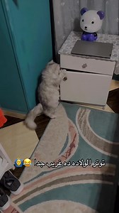 Memes Station on Reels