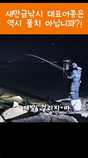 새만금낚시 곧 8월1일 풀치 시즌스타트! 잘 준비하고 계시나요? #새만금낚시 #새만금방조제 #풀치낚시 #갈치낚시 #루어낚시 #새만금석축#군산낚시#새만금