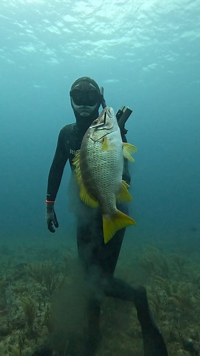 192K views · 3K reactions | Expert Level Underwater Fishing | Ryan Myers Spearfishing | Facebook