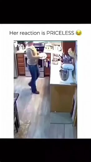 Funny Dog Compilation: Hilarious Pet Antics