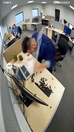 Funny Office Rage Short Compilation