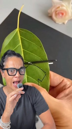 1.4M views · 9.4K reactions | COmo hacer orpa con hojas #hoja #ropa #arte #diy #facil | Videos para Reir | Facebook