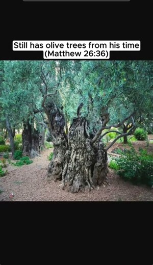 Things Jesus touched that still exists today 😳