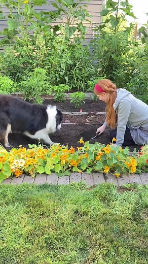 Potatoes!🌱🐶❤️