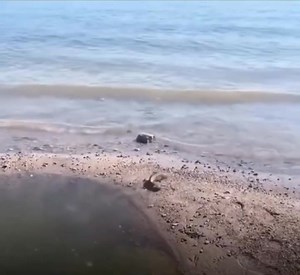 One decision can change your life ❤️‍🩹🗿 | 𝖧 𝗒 𝗉 𝗇 𝗈 𝗍 𝗂 𝗓 𝖾