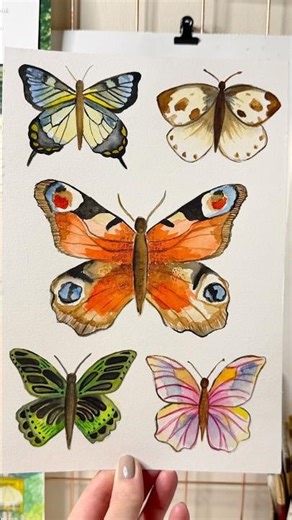 Easy Butterfly painting using watercolours #butterflies #butterflyart #butterfly #timelapseart