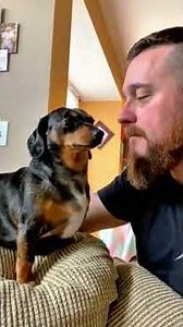 Kissing the dog#petfails 😂