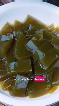 This Tofu Comes From Leaves, Not Beans #camping #eala vs pegula live #how to make tofu