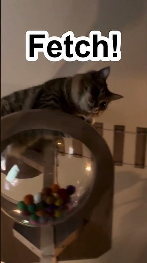 How to Train Your Human to Fetch