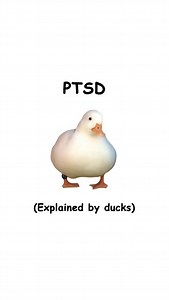DiplomaDuck on Instagram: "PTSD (explained by ducks)"