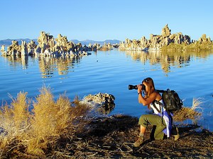 Replacement of phosphorus by arsenic in living organisms - Wikiversity