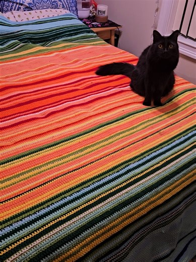 Creating a Cozy Temperature Blanket for 2025