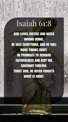 Trust God’s Justice, He Will Make It Right! #bibleshorts #bibleverse #bible #jesus #viral #fyp