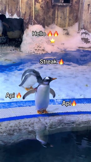 VinWonders Nha Trang Aquarium Official Launch Announcement