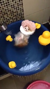 653 reactions · 307 shares | <3 | Meow | Facebook