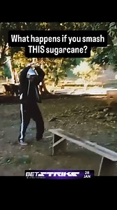 This viral clip shows a modified stalk—not real sugarcane—filled with combustible dust to create a dramatic “explosion.” True sugarcane won’t ignite when smashed. Dust explosions, like those in grain silos or sugar factories, are extremely dangerous—never try this at home. Fact: Sugar dust oxygen ignition = rapid combustion. OSHA reports fatal incidents from similar setups. Source: Viral social media (not a scientific demonstration) #sciencemythbusted #dustexplosion #firesafety #viralhoax #steme