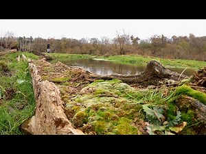 Trout Fishing With The Boys - Driftless Trout Fishing