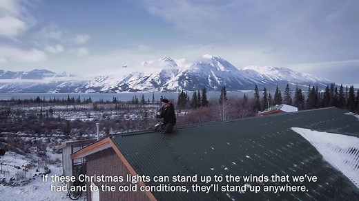 612K views · 853 reactions | We put our NOMA Christmas lights to the...