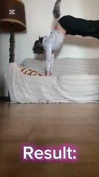 Tutorial: how to jump? Therian