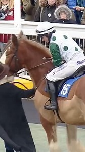 587K views · 4.5K reactions | A flying dismount off a Clydesdale! | Racing TV | Facebook