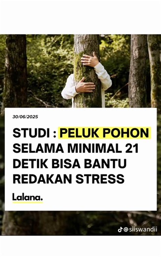 STUDI: Peluk Pohon Bisa Redakan Stress. Pohon Olivenya ada di showcase INFORMA ONLINE STORE Ya. Ceck Out SEGERA! #pohoninforma #tanamanartificial #pohonzaitun #artificialtree #informa