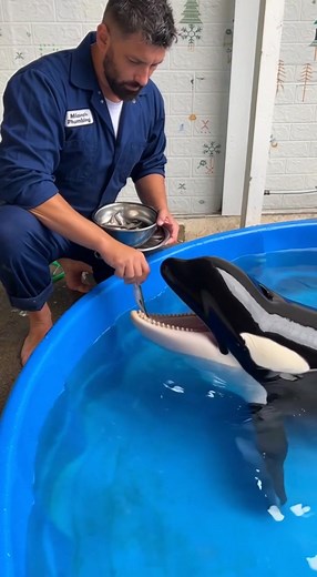 Hilarious Plumbing Fails You Won't Believe